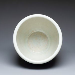 A large Chinese blue and white 'Lotus Scroll' fish bowl — 照片 7