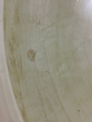 A large Chinese blue and white 'Shou' jar, Wanli mark but probably Republic — 照片 6