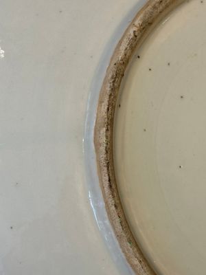 A large Chinese Canton famille rose dish and eight plates, 19th C. — photo 10