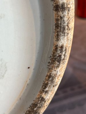 A large Chinese famille rose 'dragon' 'hu' vase, 19/20th C. — photo 28