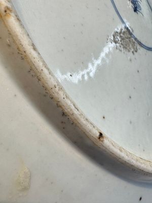 A large Chinese famille verte 'Banquet' dish, lingzhi mark, Kangxi — photo 15