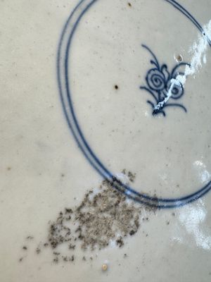 A large Chinese famille verte 'Banquet' dish, lingzhi mark, Kangxi — photo 18