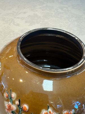 A large Chinese famille verte capucin-ground 'Prunus Blossoms' teapot and cover with relief design, Kangxi — foto 9
