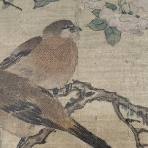 A large Chinese framed scroll painting with birds and flowers, 18th C. — photo 11