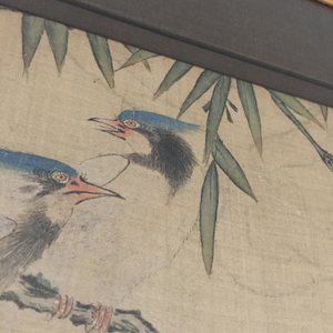 A large Chinese framed scroll painting with birds and flowers, 18th C. — 照片 12