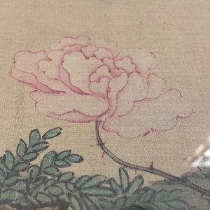 A large Chinese framed scroll painting with birds and flowers, 18th C. — 照片 3