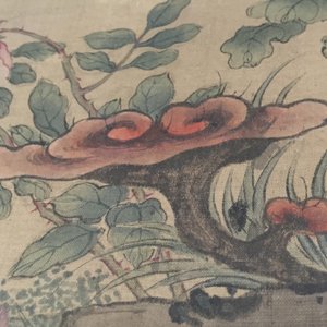 A large Chinese framed scroll painting with birds and flowers, 18th C. — 照片 4