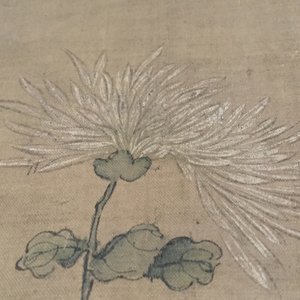 A large Chinese framed scroll painting with birds and flowers, 18th C. — 照片 5