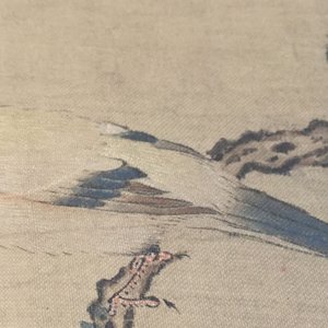A large Chinese framed scroll painting with birds and flowers, 18th C. — 照片 6