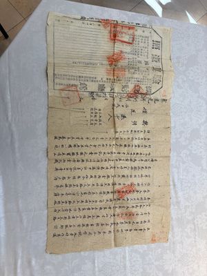 A large collection of 14 Chinese title deeds, 11 share applications, and a land law manual, 19/20th C. — photo 22