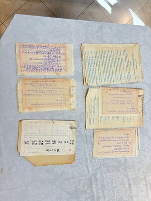 A large collection of 14 Chinese title deeds, 11 share applications, and a land law manual, 19/20th C. — photo 26