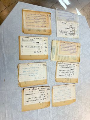 A large collection of 14 Chinese title deeds, 11 share applications, and a land law manual, 19/20th C. — photo 27