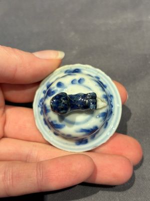 A large collection of 152 pieces, mainly Chinese porcelain covers, Kangxi and later — photo 107