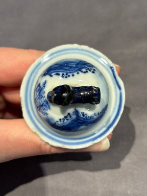A large collection of 152 pieces, mainly Chinese porcelain covers, Kangxi and later — photo 115