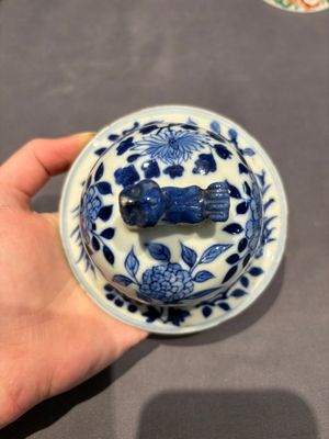 A large collection of 152 pieces, mainly Chinese porcelain covers, Kangxi and later — photo 13