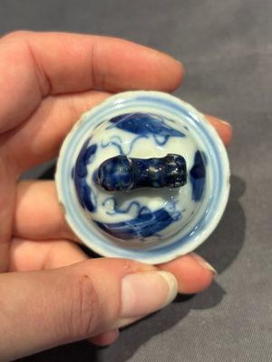 A large collection of 152 pieces, mainly Chinese porcelain covers, Kangxi and later — photo 147
