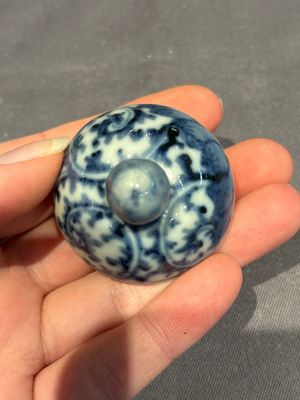 A large collection of 152 pieces, mainly Chinese porcelain covers, Kangxi and later — photo 245