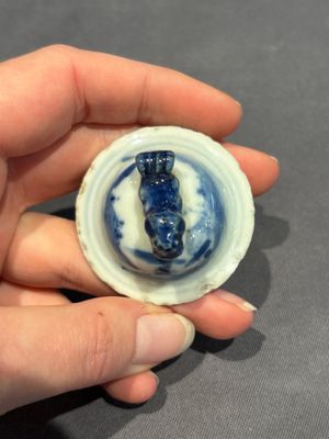 A large collection of 152 pieces, mainly Chinese porcelain covers, Kangxi and later — photo 295