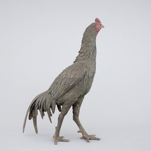 A large Japanese bronze fighting cock, 19th C. — photo 1