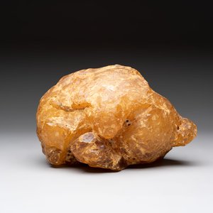 A large lump of copal or amber, 4220 grams — foto 3