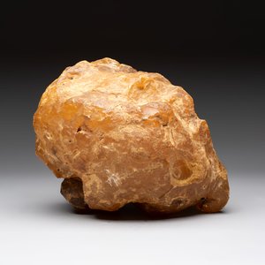 A large lump of copal or amber, 4220 grams — foto 5