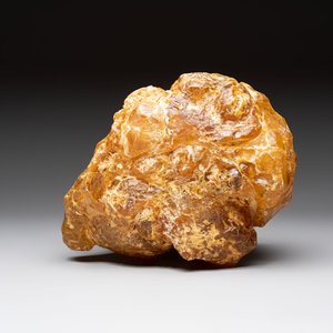 A large lump of copal or amber, 4220 grams — foto 6