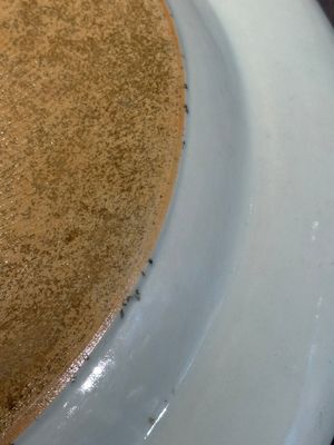 A large oval Chinese export 'EHA' monogrammed 'landscape' dish, Jiaqing, ca. 1800 — photo 10