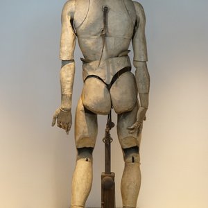 A life size anatomical model for a sculptor, 19th C. — 照片 4