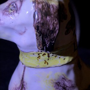A manganese and yellow Brussels faience model of a dog, 18th C. — 照片 10