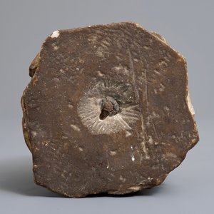 A marble fragment of a capital, Spain or Italy, 16/17th C. — photo 6