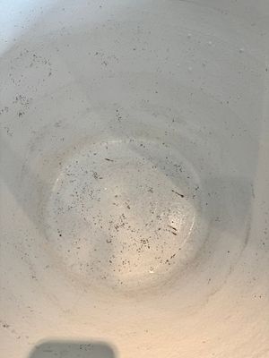 A massive Chinese blue and white 'Bajixiang' fish bowl, Qianlong — photo 11