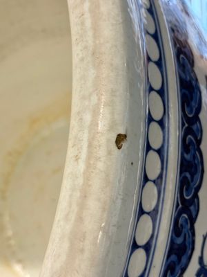 A massive Chinese blue and white 'lotus scroll' fish bowl, Qianlong/Jiaqing — photo 12