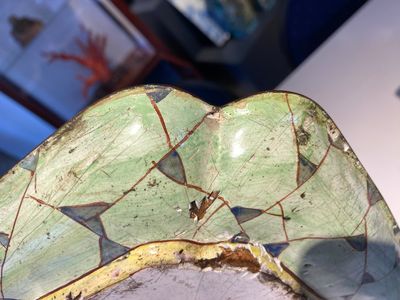 A massive Chinese Canton enamel rectangular tray, Yongzheng/Qianlong — photo 25