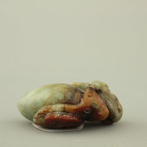 A mottled jade carving of plants, 19/20th C. — photo 5