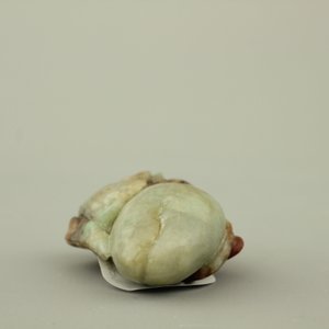 A mottled jade carving of plants, 19/20th C. — photo 6