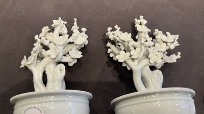 A pair of Chinese blanc de Chine models of trees in jardinières, Kangxi — photo 5