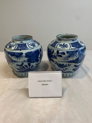A pair of Chinese blue and white 'birds among blossoming branches' jars, Wanli — photo 1