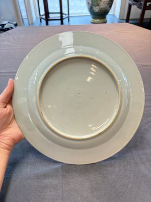 A pair of Chinese blue and white 'botanical' dishes after Maria Sybilla Merian, Qianlong — photo 2