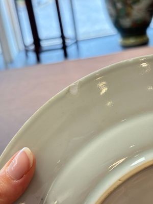 A pair of Chinese blue and white 'botanical' dishes after Maria Sybilla Merian, Qianlong — photo 3