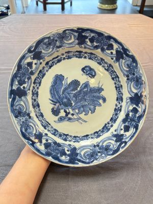 A pair of Chinese blue and white 'botanical' dishes after Maria Sybilla Merian, Qianlong — photo 4