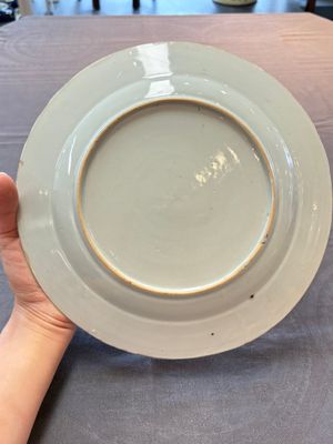A pair of Chinese blue and white 'botanical' dishes after Maria Sybilla Merian, Qianlong — photo 5