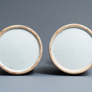 A pair of Chinese blue and white celadon 'pheasant' vases, 19th C. — 照片 6