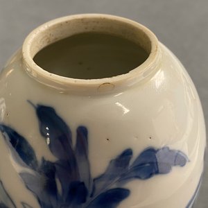 A pair of Chinese blue and white covered tea caddies, Kangxi — 照片 16