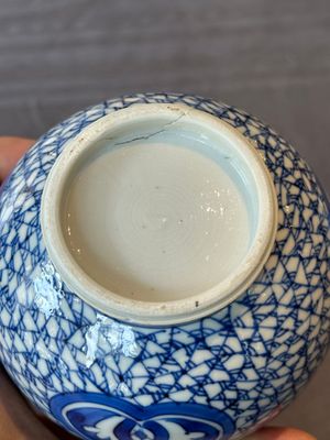 A pair of Chinese blue and white ewers with floral design, Kangxi — photo 11