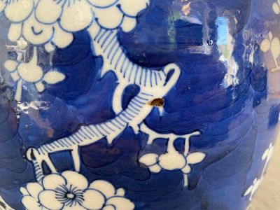 A pair of Chinese blue and white jars and covers, 19th C. — 照片 9