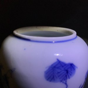 A pair of Chinese blue and white miniature vases and covers or tea caddies, Kangxi — photo 8