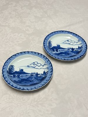 A pair of Chinese blue and white 'Scheveningen' or 'Nabeshima' plates, Kangxi/Yongzheng — photo 1