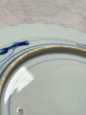 A pair of Chinese blue and white 'Scheveningen' or 'Nabeshima' plates, Kangxi/Yongzheng — photo 9