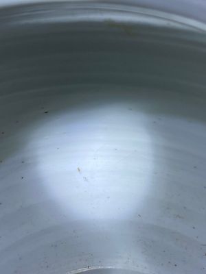 A pair of Chinese blue and white vases, Kangxi — 照片 14