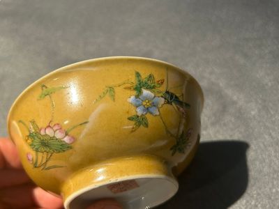 A pair of Chinese café-au-lait-ground famille rose 'grasshopper' bowls, Daoguang mark and of the period — 照片 12